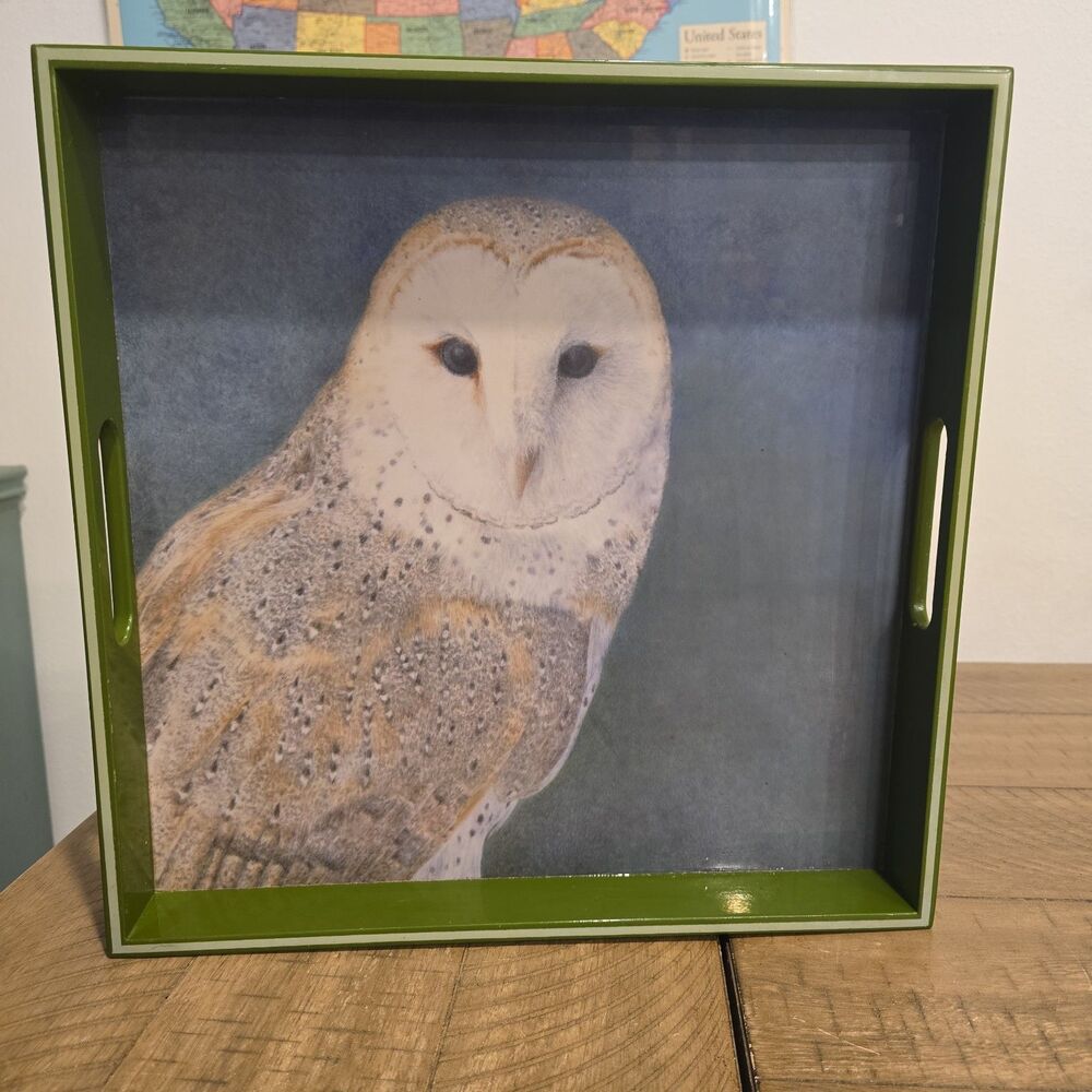 Kelly Radding Barn Owl Serving Tray 15x15 Wood Green Handles Woodland Decor